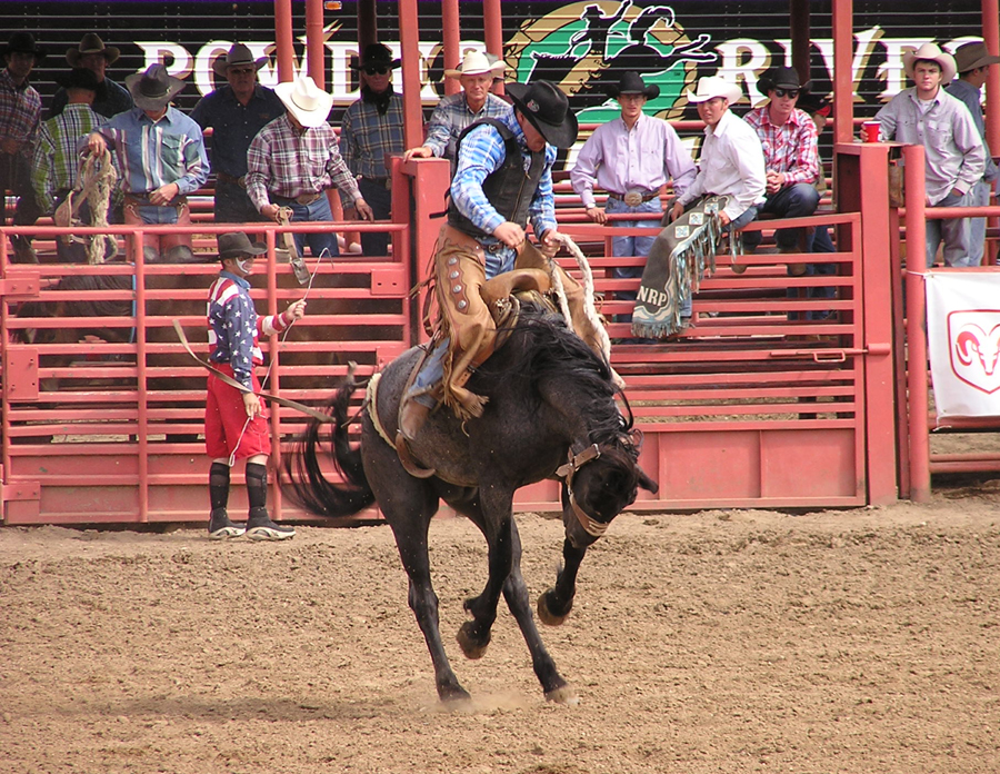 Rodeo